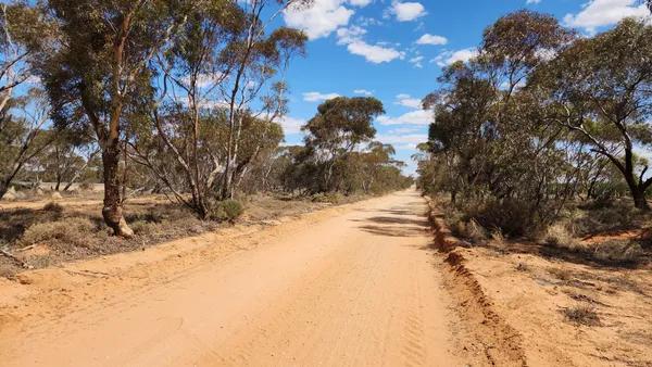 A country road in outback Victoria near Mildura
